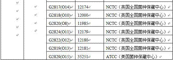 Nucleotide specific to legionella pneumophila O12 type wzm and wecA genes and application of nucleotide