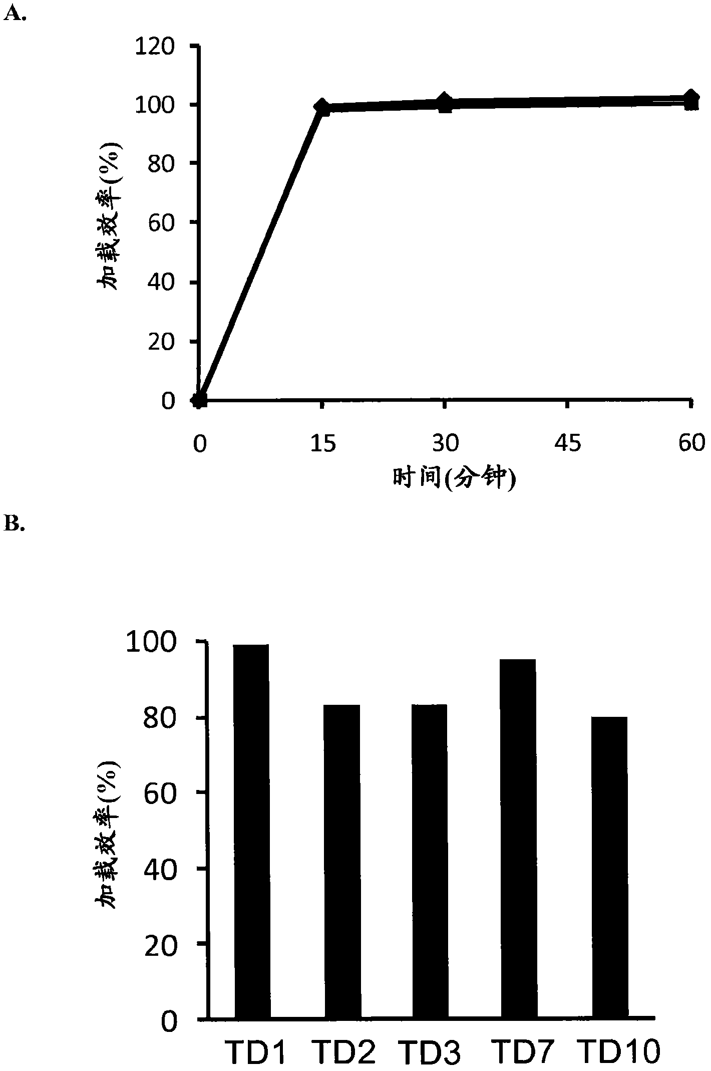 Modified drugs for use in liposomal nanoparticles