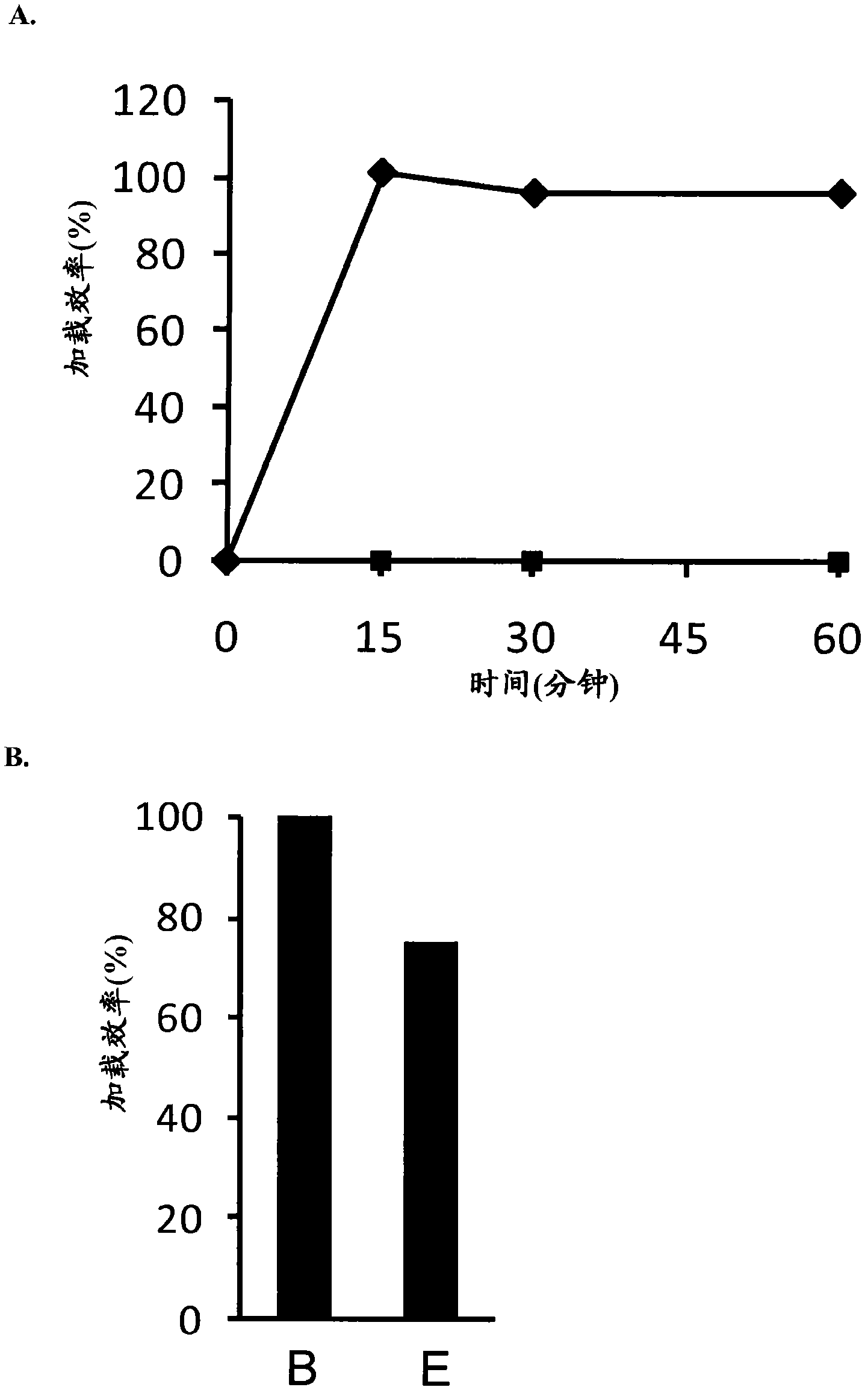 Modified drugs for use in liposomal nanoparticles