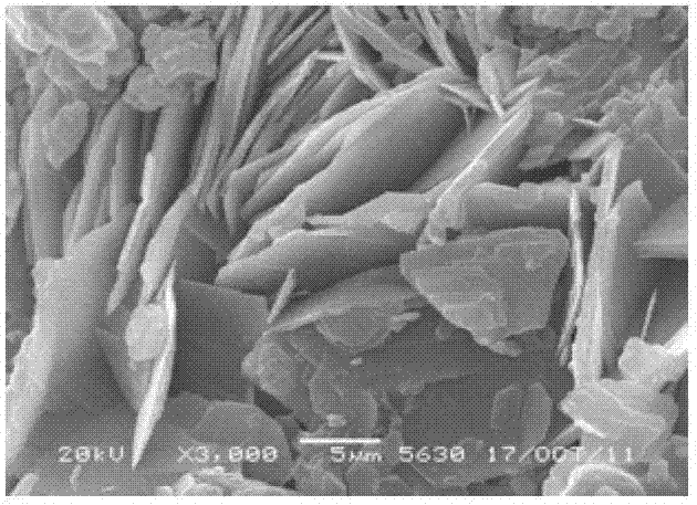 Efficient flocculent precipitate purification method for polymetallic ore benefication wastewater