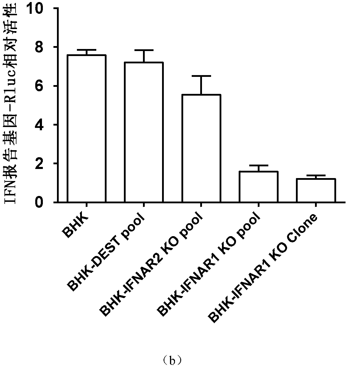 Cell line capable of realizing induced rescue of rhabdovirus as well construction method and application of cell line