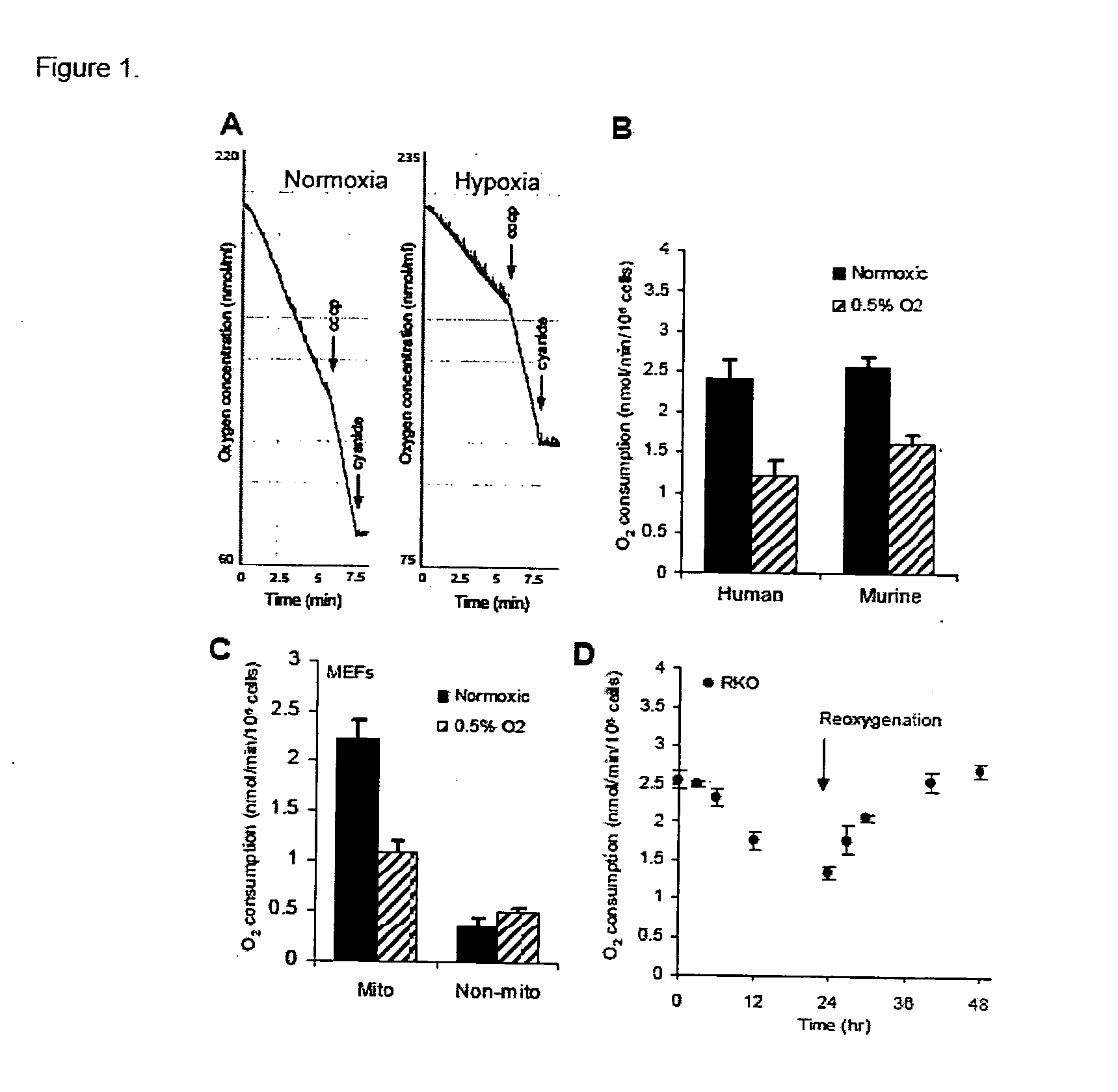 Modulation of mitochondrial oxygen consumption for therapeutic purposes