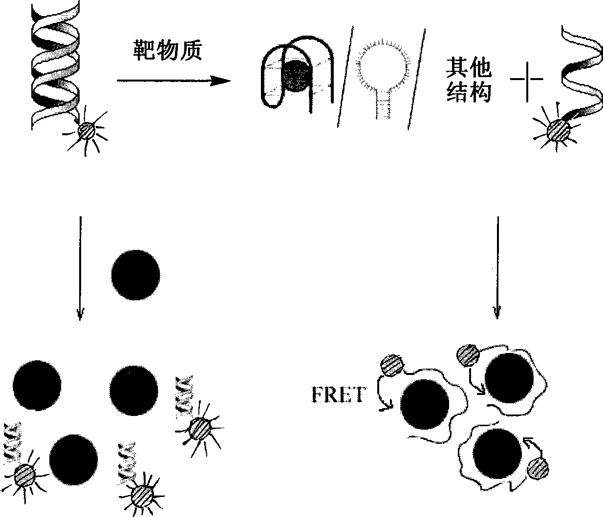 Target molecule detecting method based on nanometer aurum and nucleic acid structure