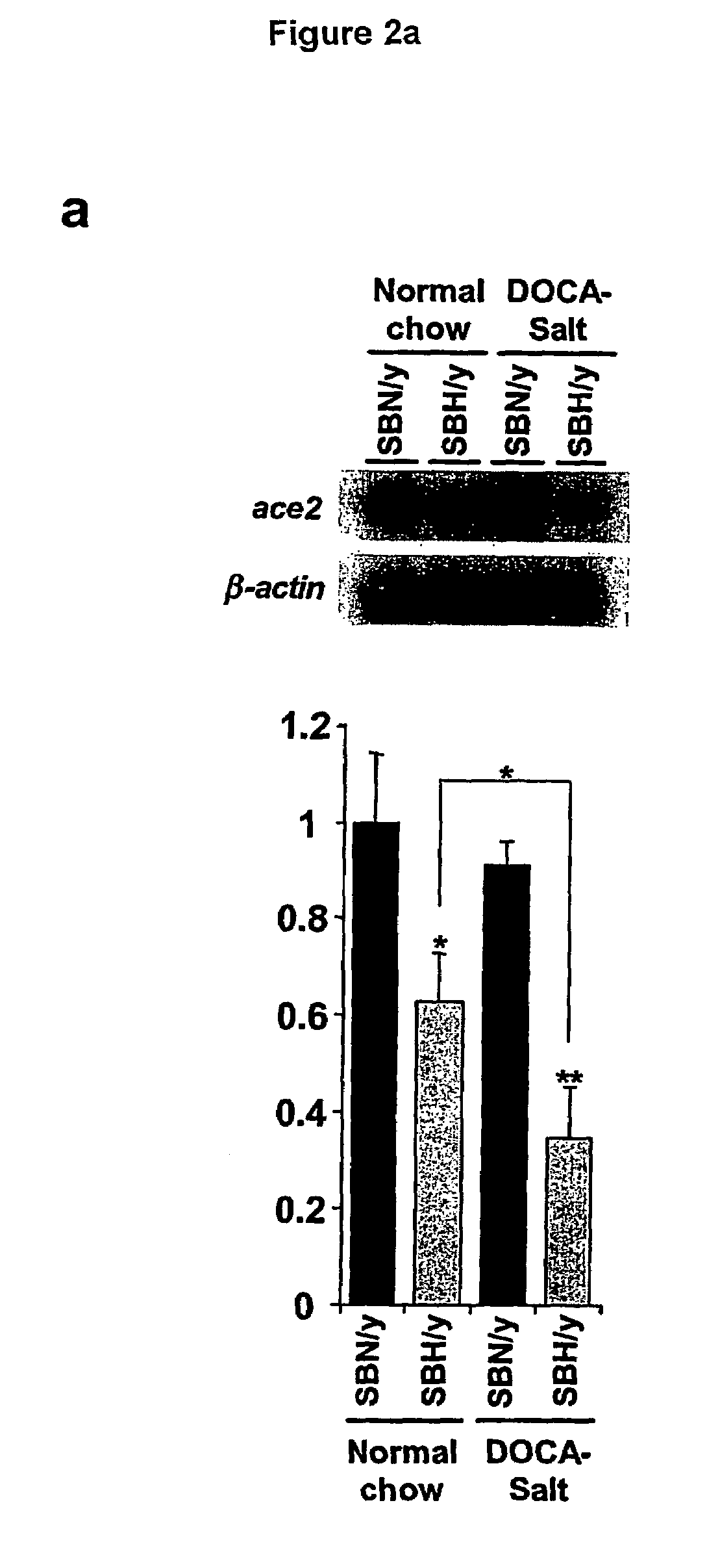 ACE2 activation for treatment of heart, lung and kidney disease and hypertension