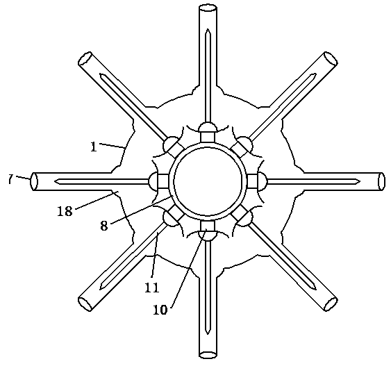 Drip irrigation equipment for corn field