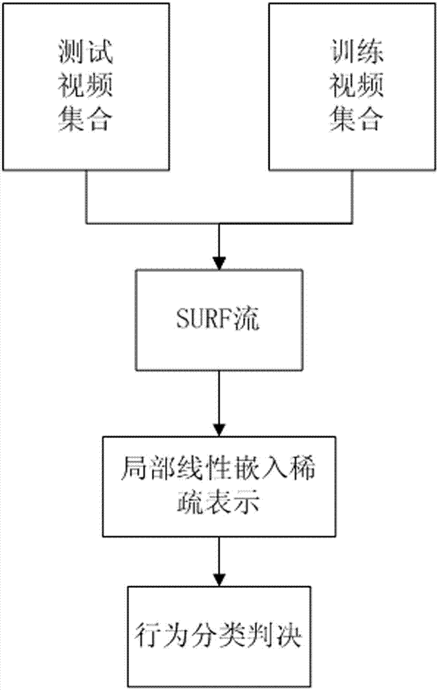 Crowd abnormal behavior identification method based on SURF (Speed-Up Robust Feature) stream and LLE (Locally Linear Embedding) sparse representation