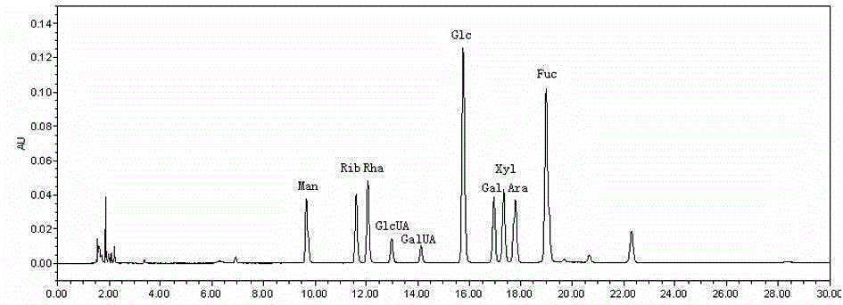 Detection method of polystictus versicolor and preparation containing polystictus versicolor