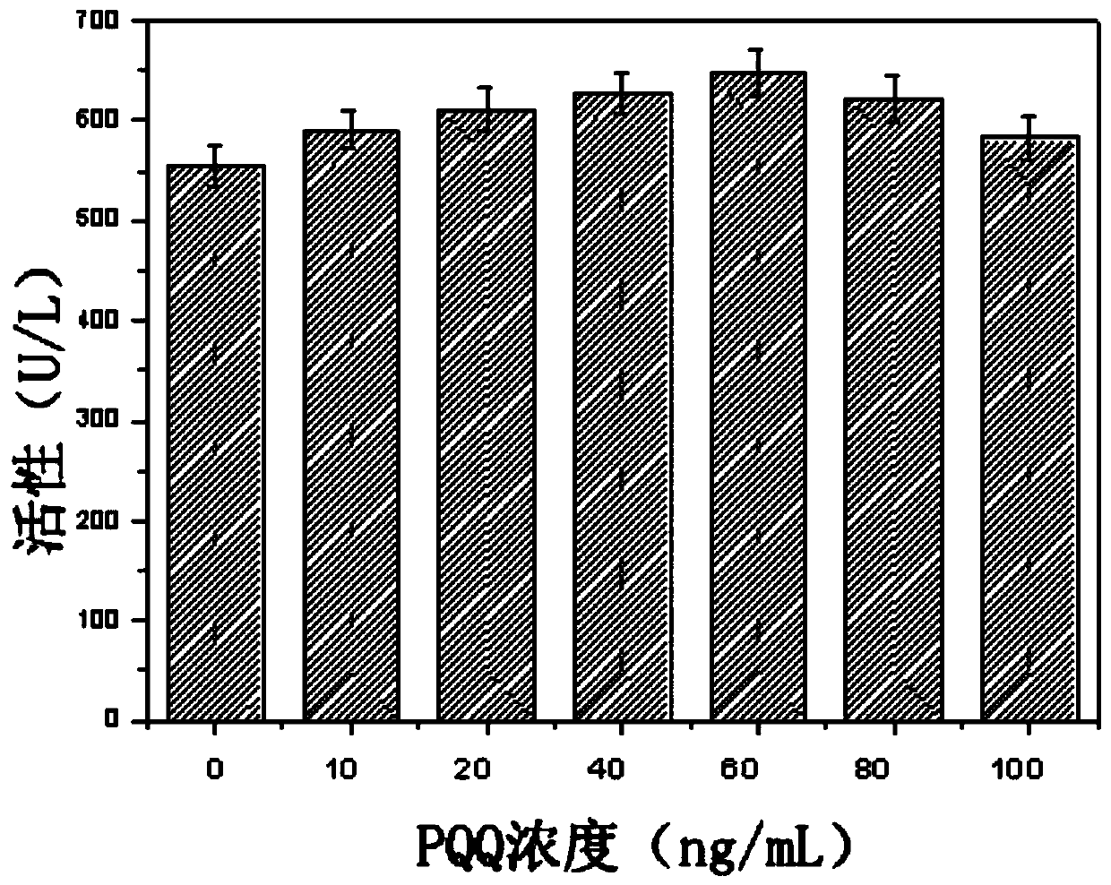 Transforming bacterium strain and method for catalytically synthesizing miglitol intermediate