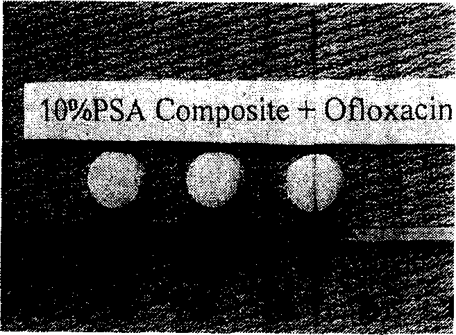 Medicine for treating osteomyelitis and preparation thereof