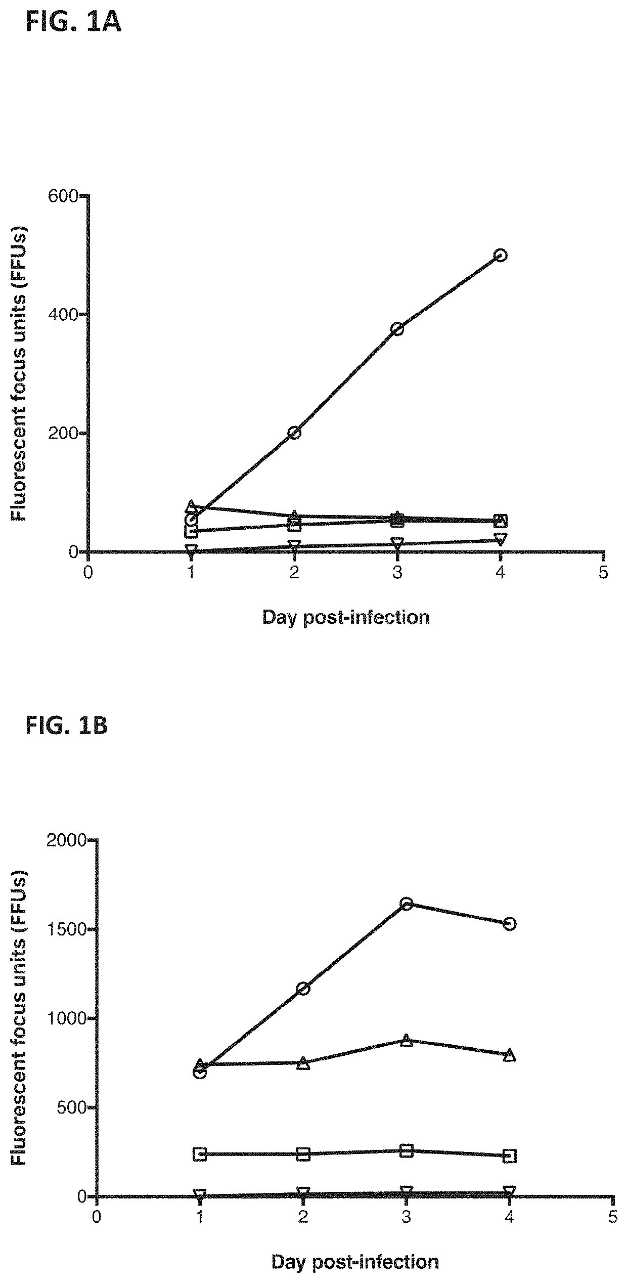 Anti-TMPRSS2 antibodies and antigen-binding fragments