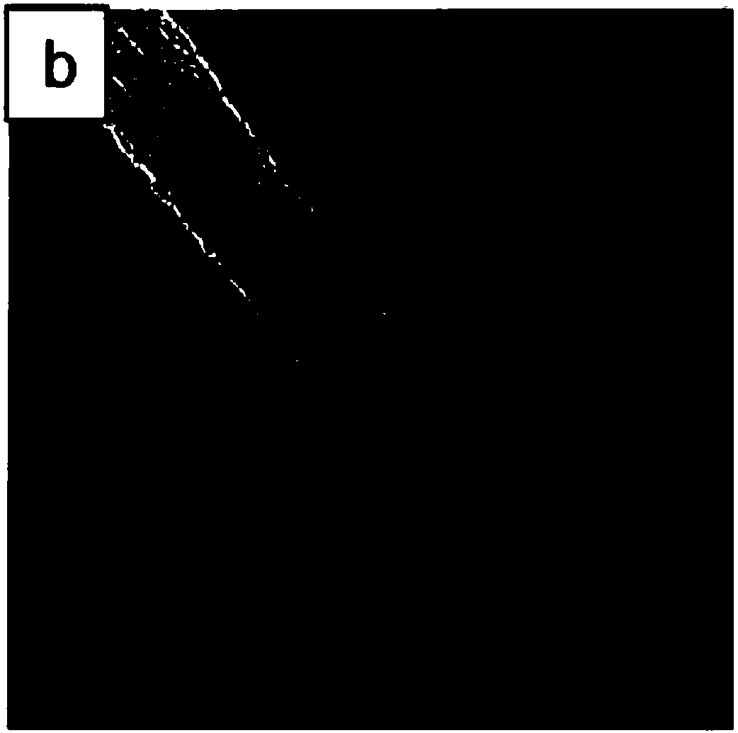 Method for preparing carbon nanometer tubes through waste plastic catalytic pyrolysis by two-section process