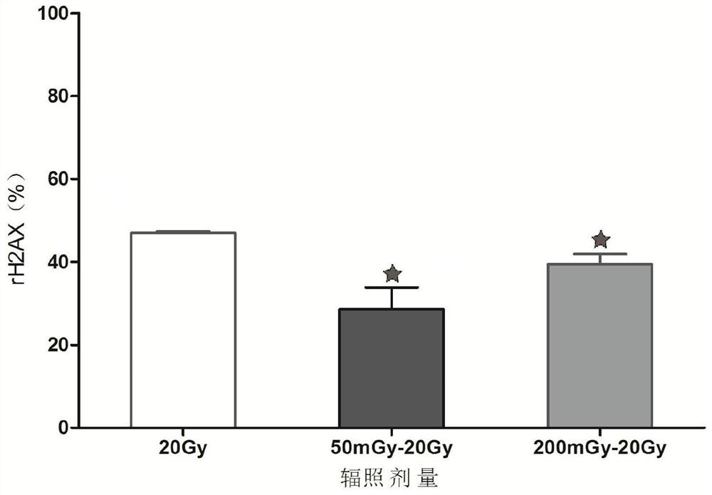 Lung cancer cell radiation adaptability MicroRNA expression profile detection method