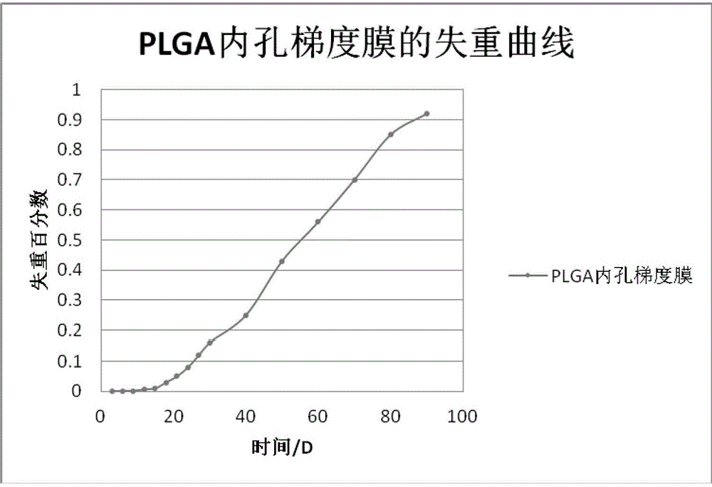 Controllable biodegradable plga inner pore gradient membrane and its preparation process