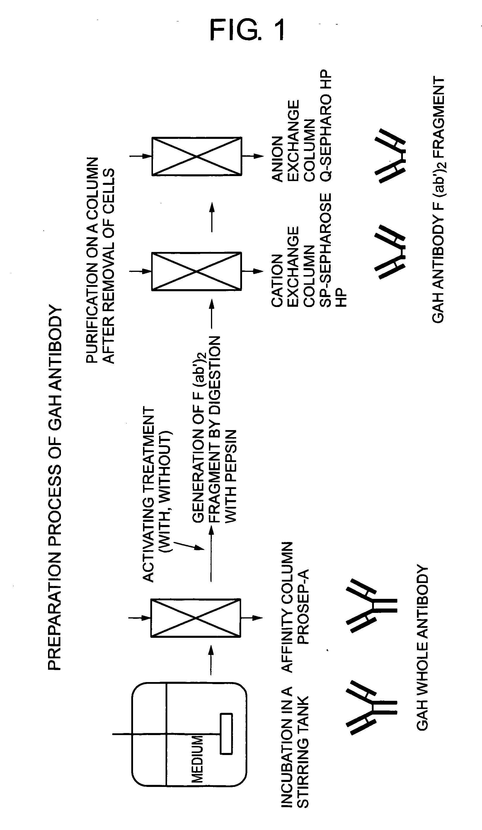 Method of activating protein