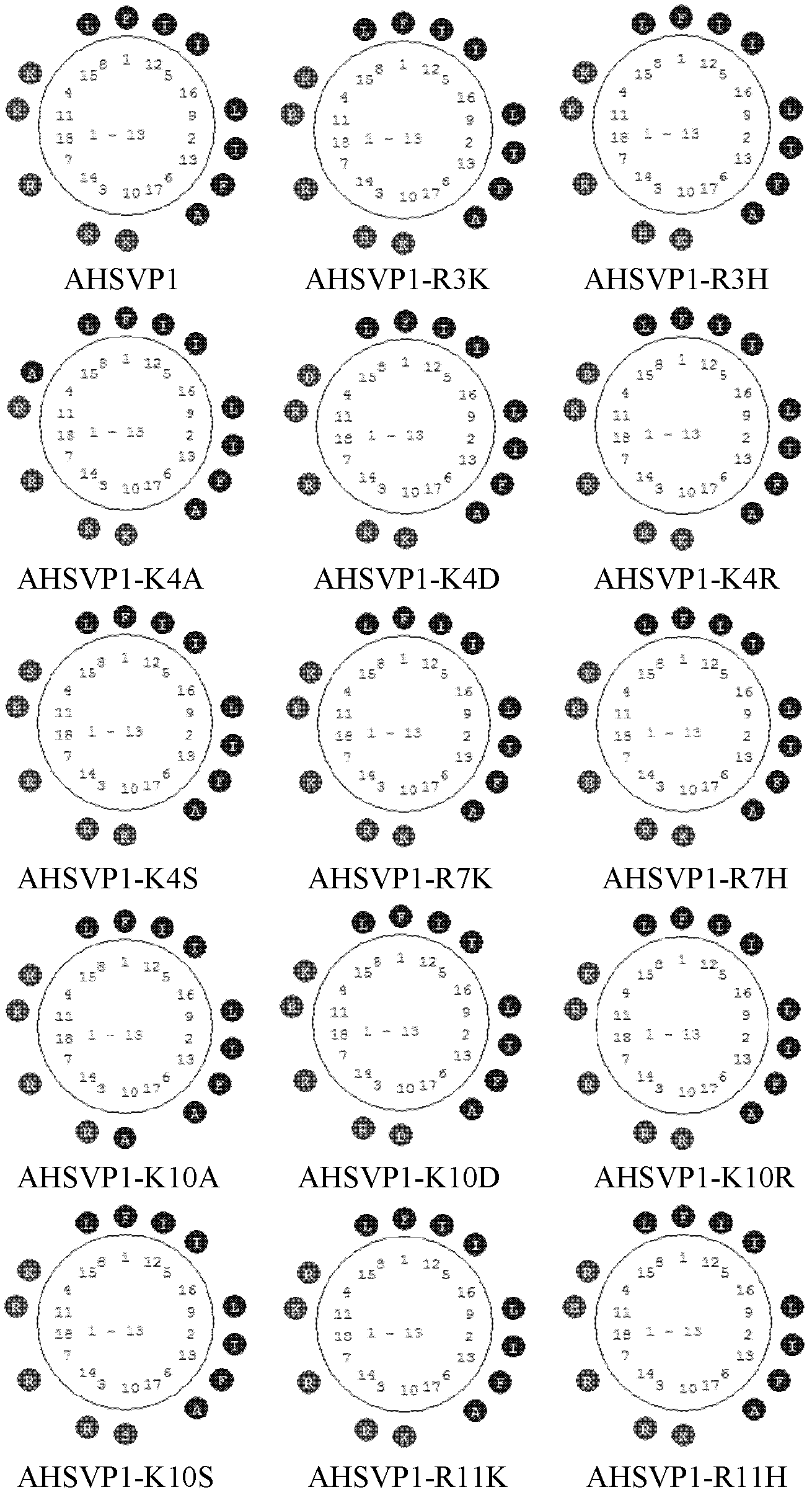 Anti-herpes simplex virus polypeptide and its application