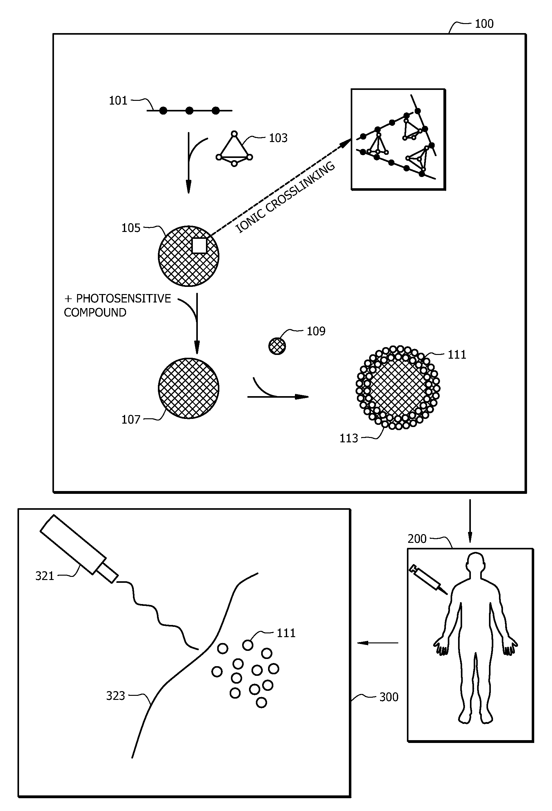 Charge-assembled capsules for phototherapy