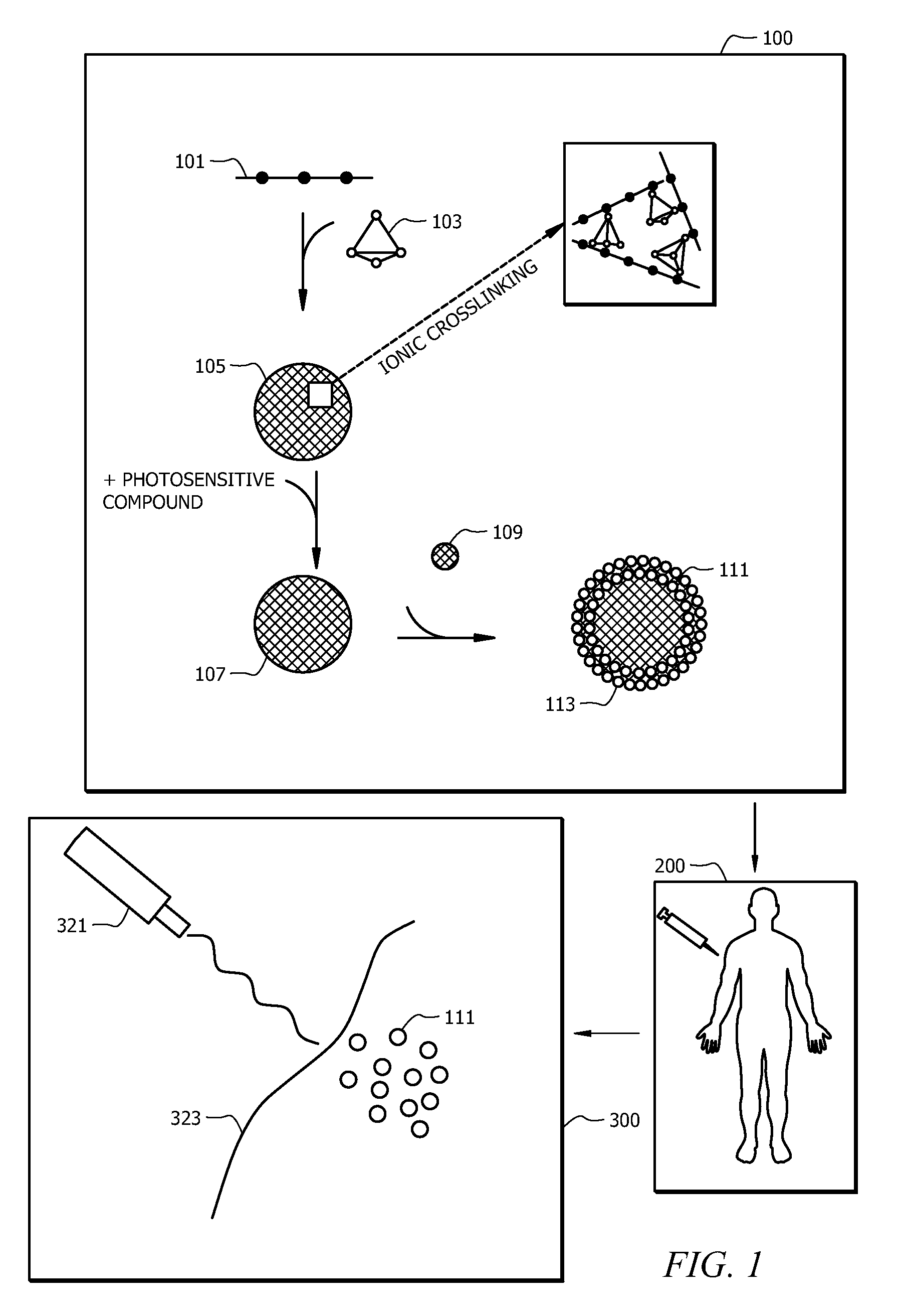 Charge-assembled capsules for phototherapy