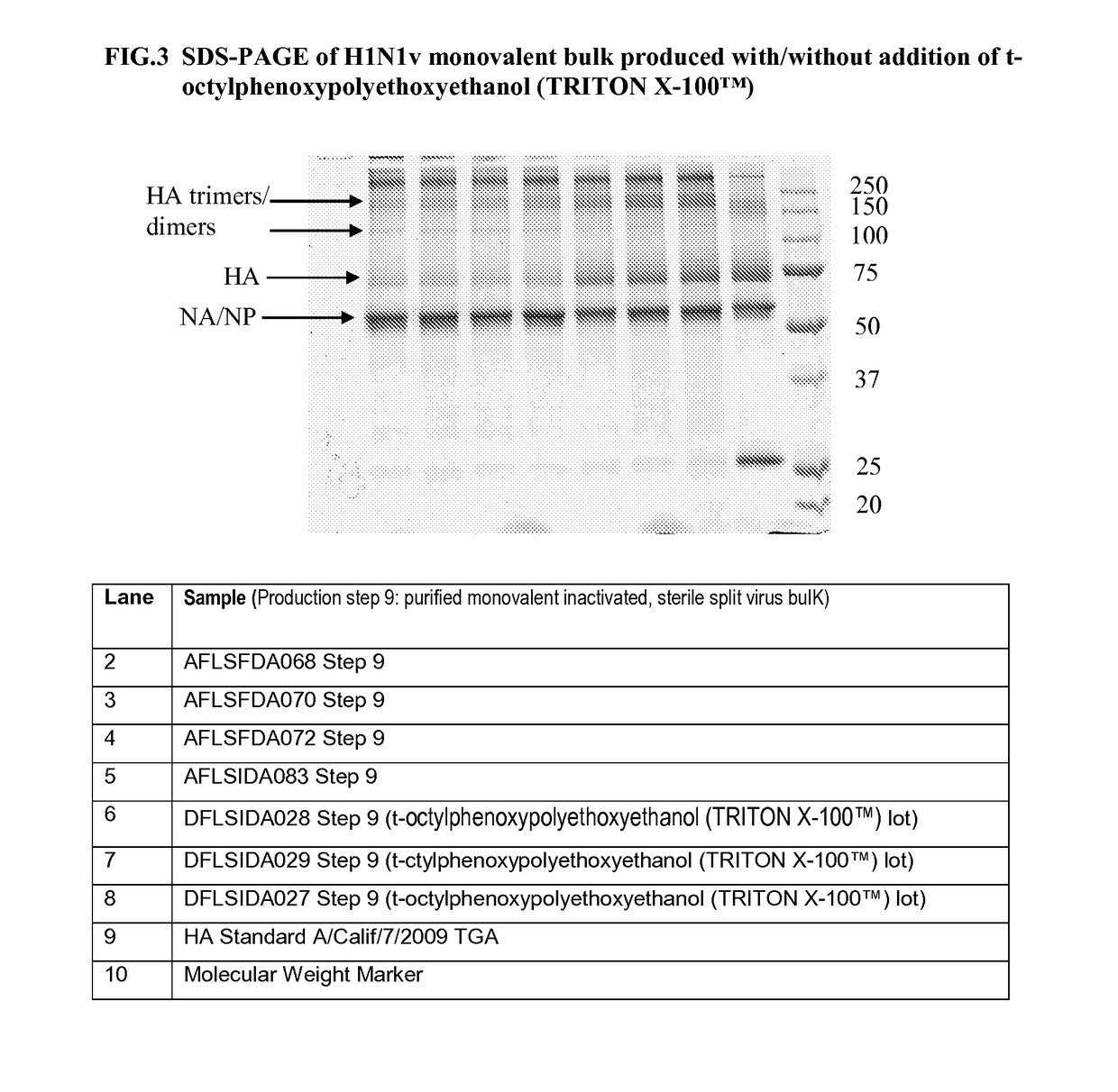 Process for producing influenza vaccine