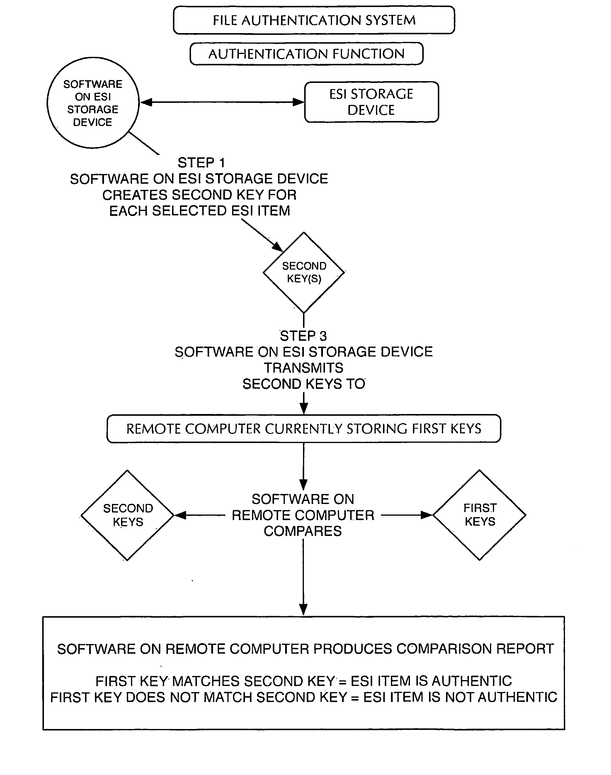 Method for Authenticating Electronically Stored Information