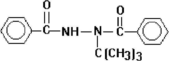 Plant insecticidal protective agent and application thereof