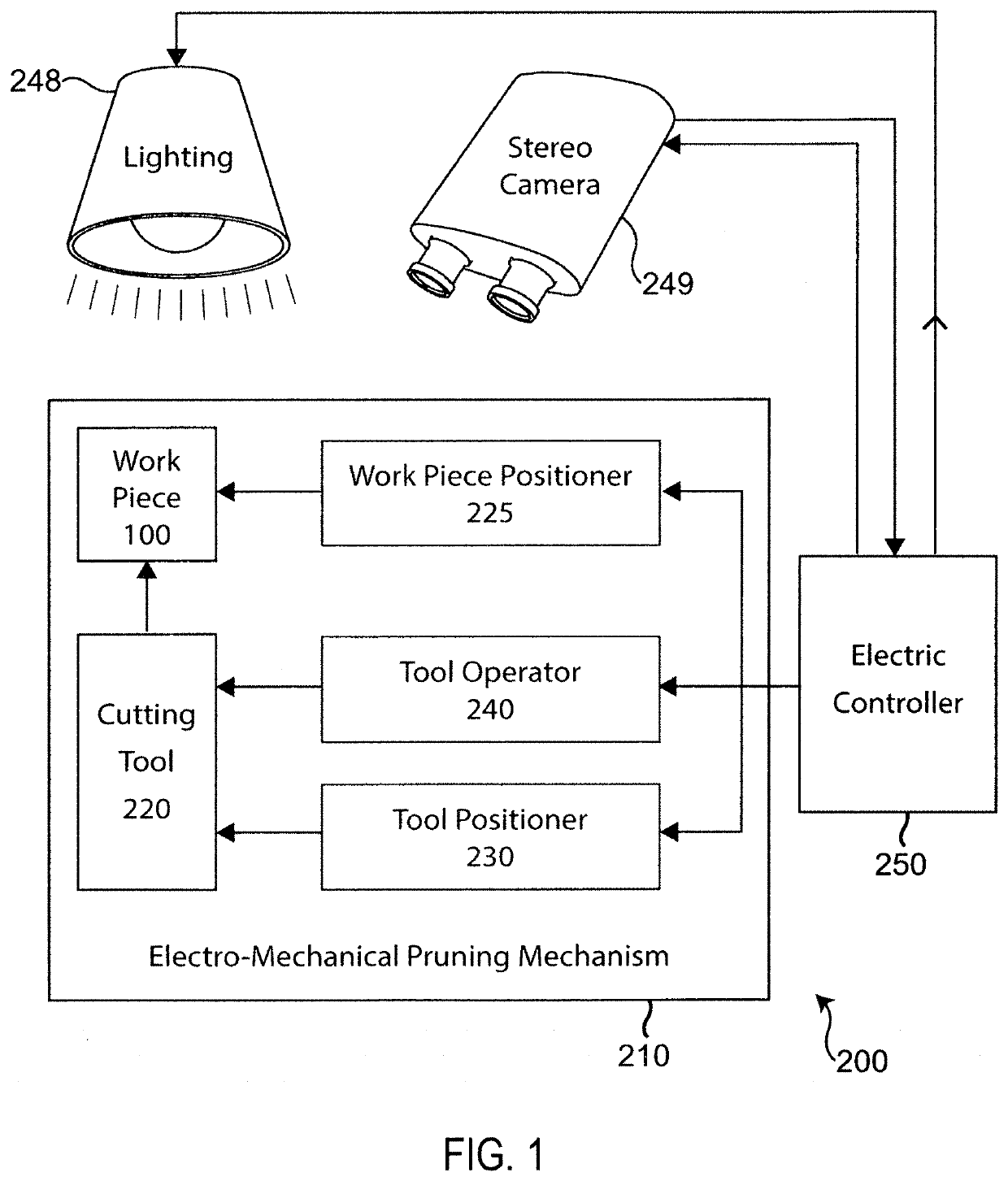 Automated pruning or harvesting system for complex morphology foliage