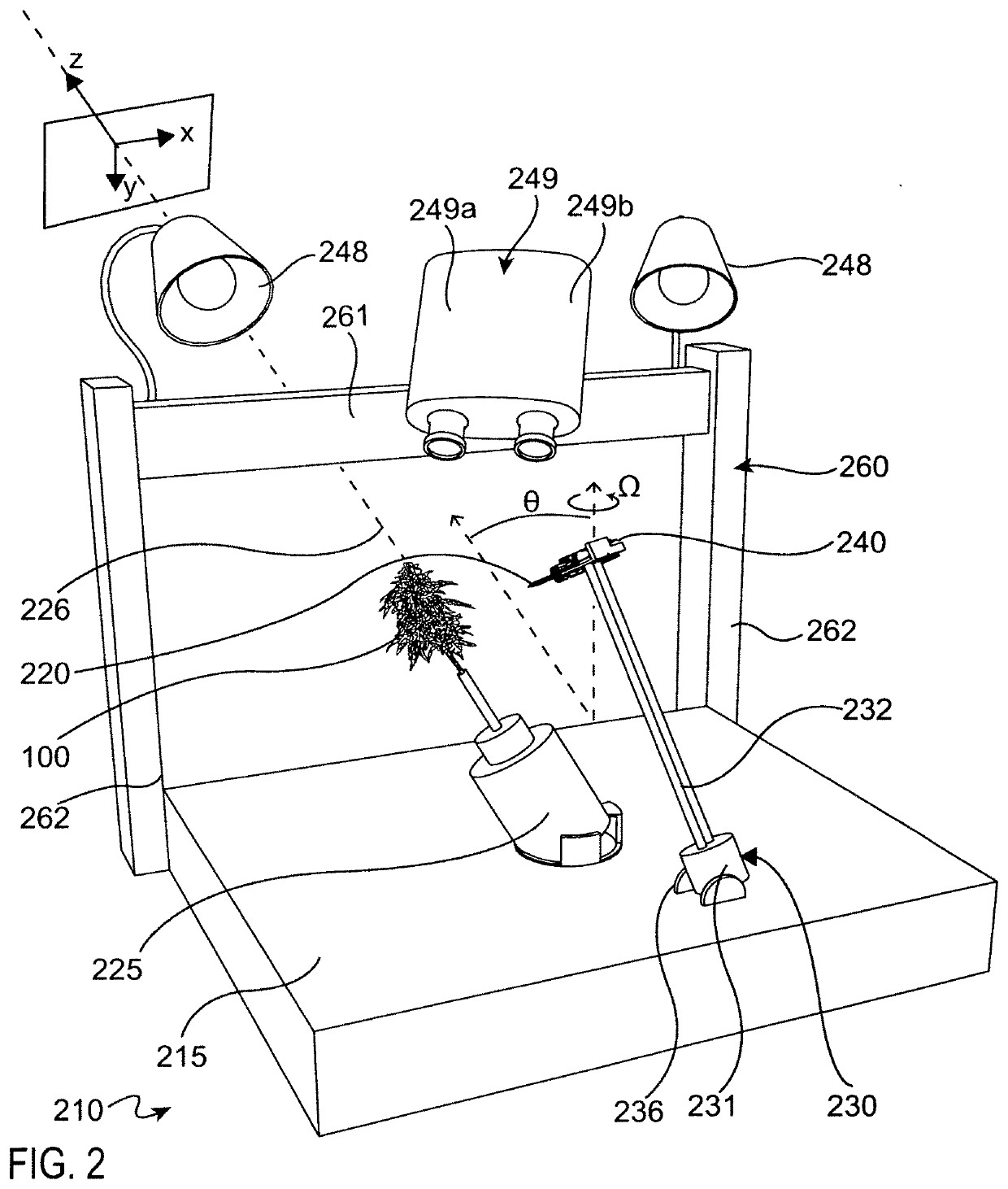 Automated pruning or harvesting system for complex morphology foliage