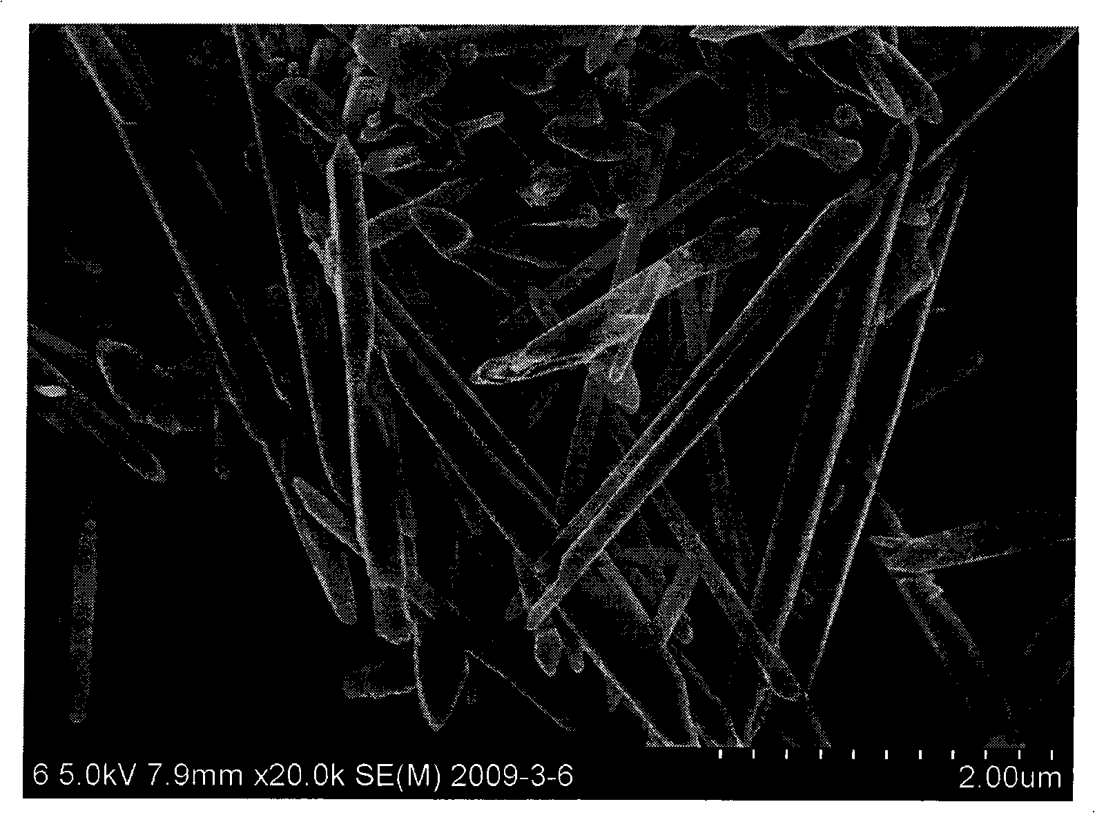 Method for preparing zinc oxide (ZnO) nanorods