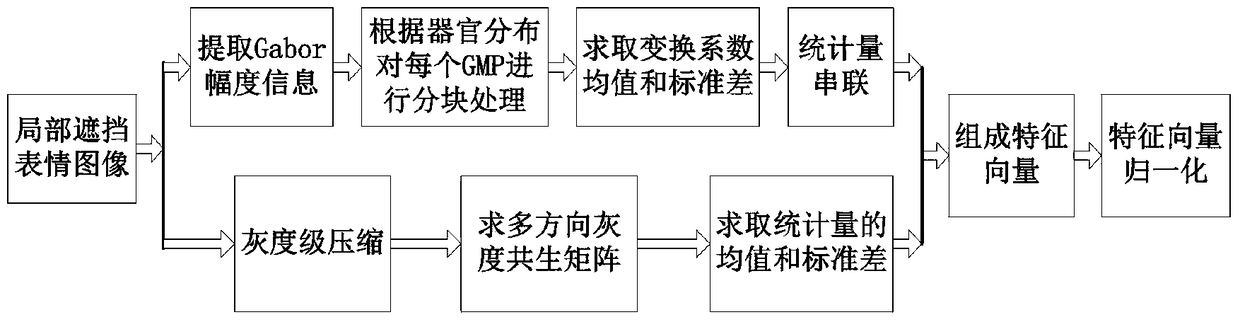 A Facial Expression Recognition Method Based on Gabor Wavelet and Gray Level Co-occurrence Matrix