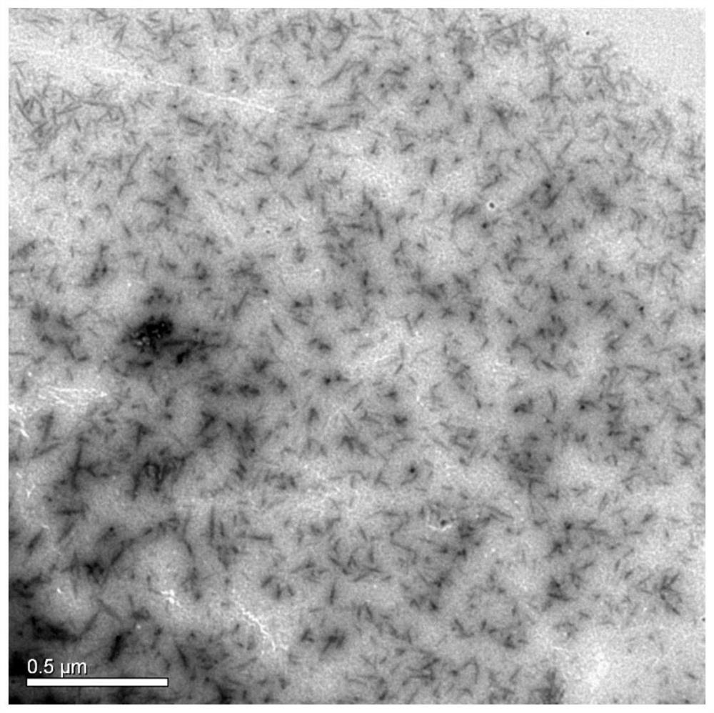 Method for preparing nanoscale regenerated cellulose by adopting molten salt system