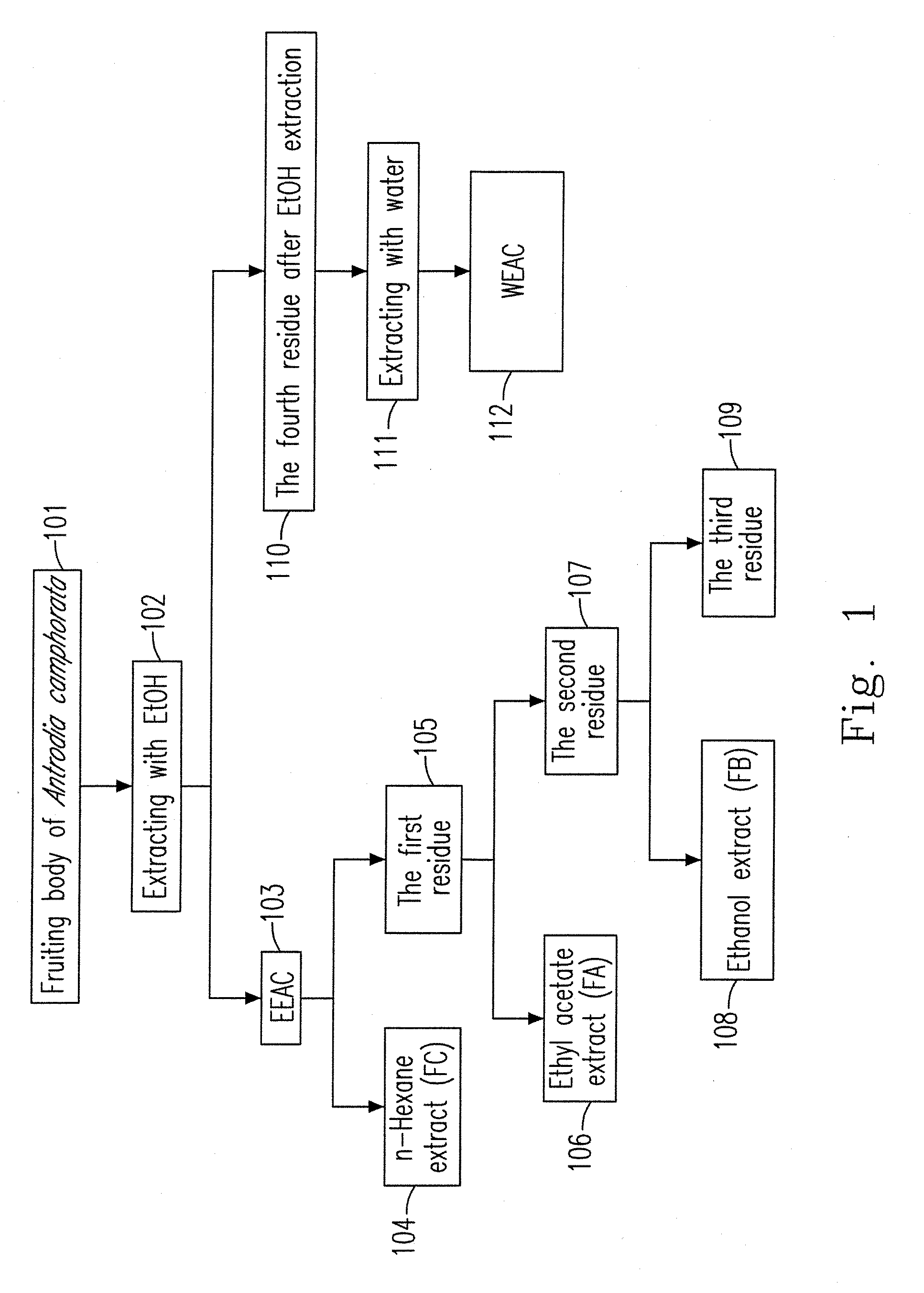 Ethanol extract of antrodia camphorata for inducing apoptosis and preparation method thereof