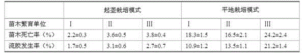 Comprehensive management method for improving survival rate of sweet cherry nursery plants and quality of nursery plants