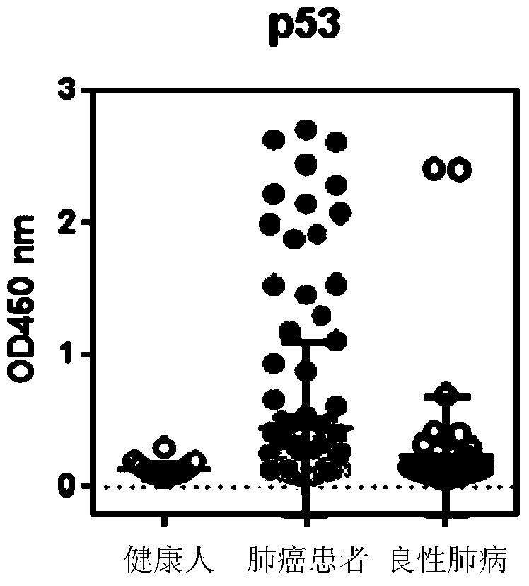 Serum autoantibody detection kit