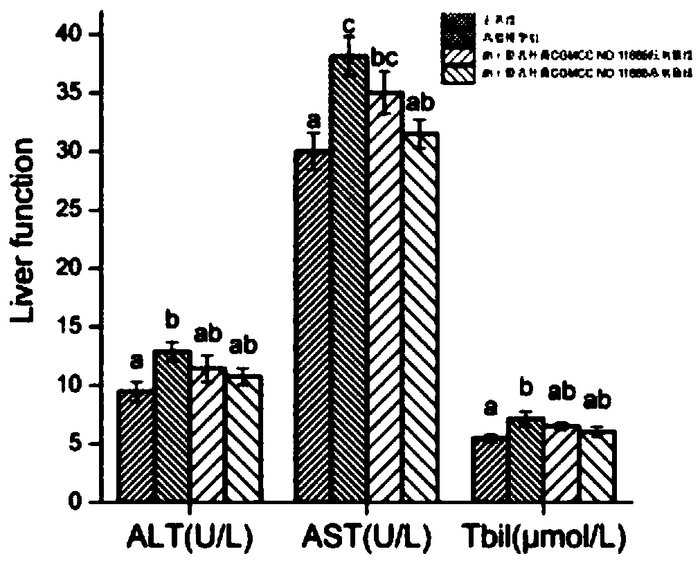 Lactobacillus rhamnosus with fatty liver disease inhibiting function and application thereof