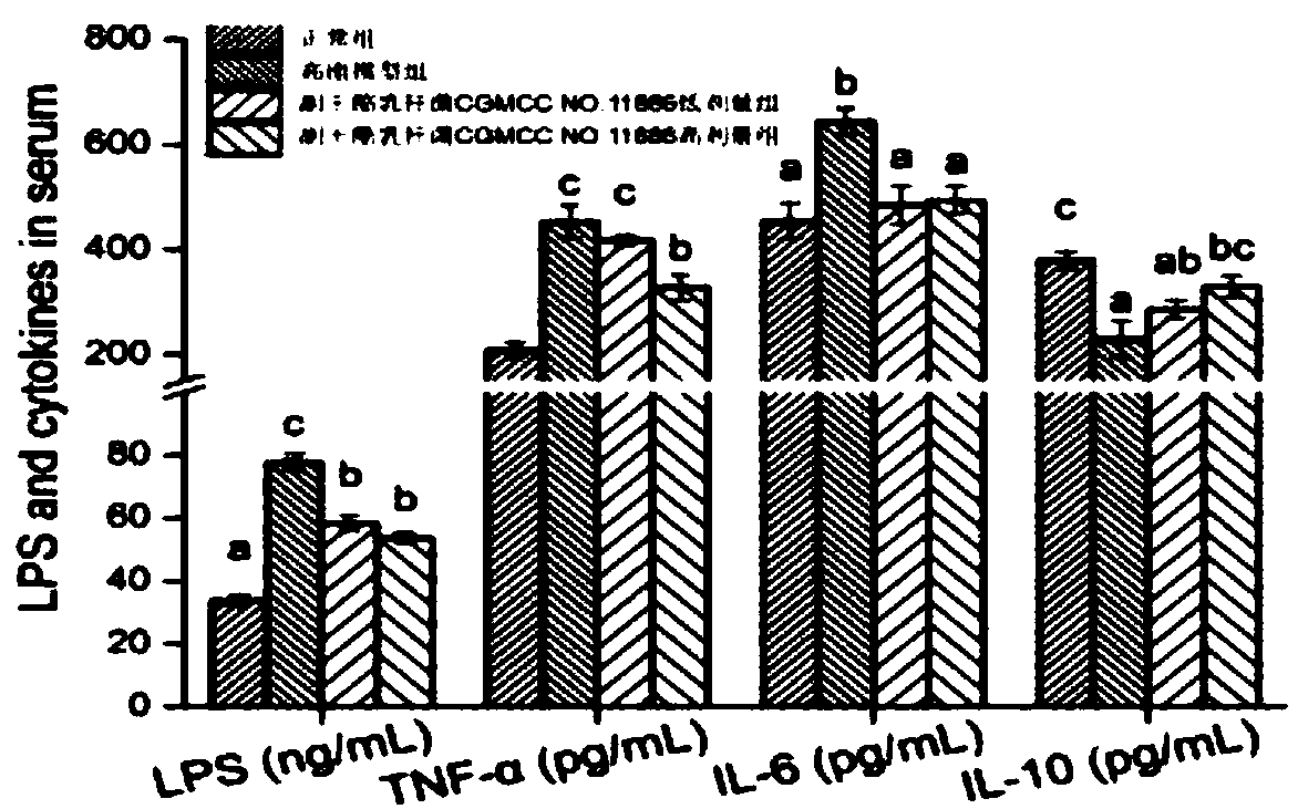 Lactobacillus rhamnosus with fatty liver disease inhibiting function and application thereof