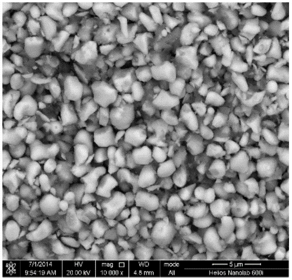 A kind of gel centrifugal molding method of ceramic embryo body