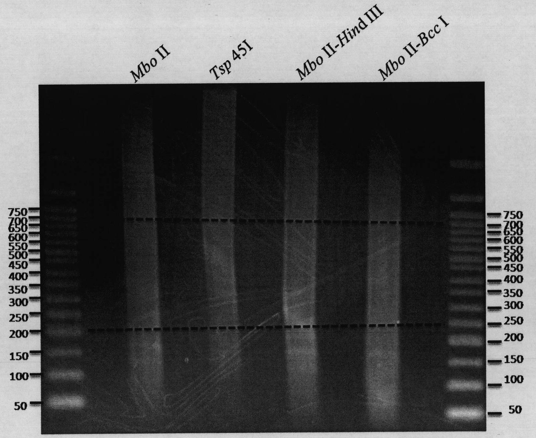 DNA (deoxyribonucleic acid) library and preparation method thereof as well as method and device for detecting single nucleotide polymorphisms (SNPs)