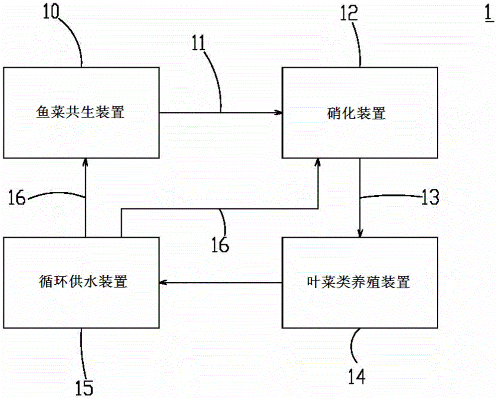 Fish and vegetable co-existing water circulation system