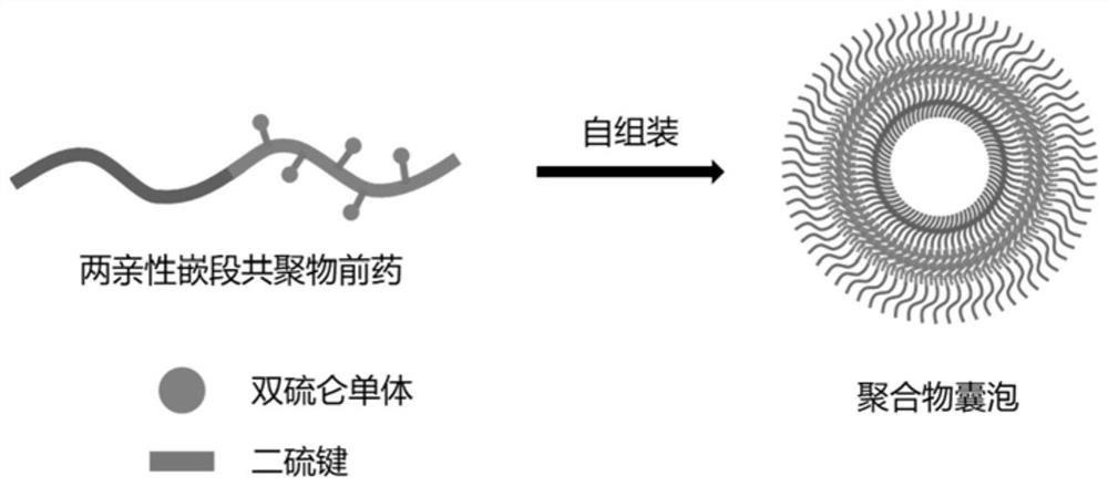 A kind of disulfiram-based amphiphilic block copolymer prodrug and its preparation method and application