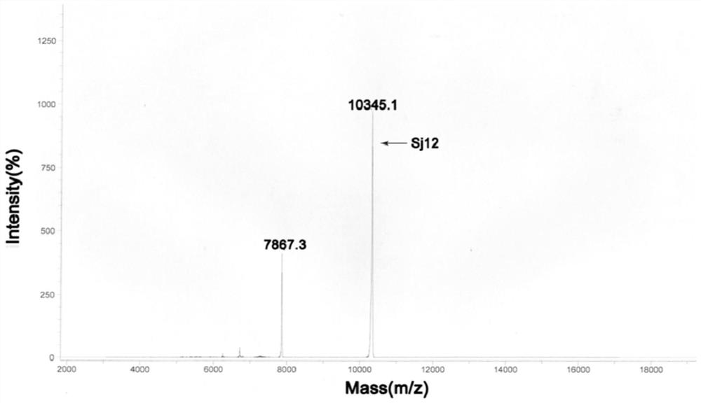 sj12 polypeptide and its application in the preparation of anticoagulant drugs