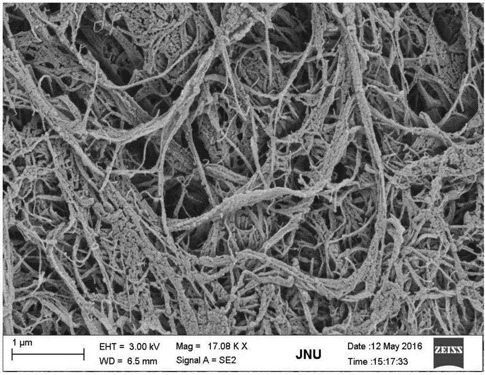 Preparation method of nitrogen-doped carbon nanofiber loaded gold nanoparticle oxygen reduction catalyst