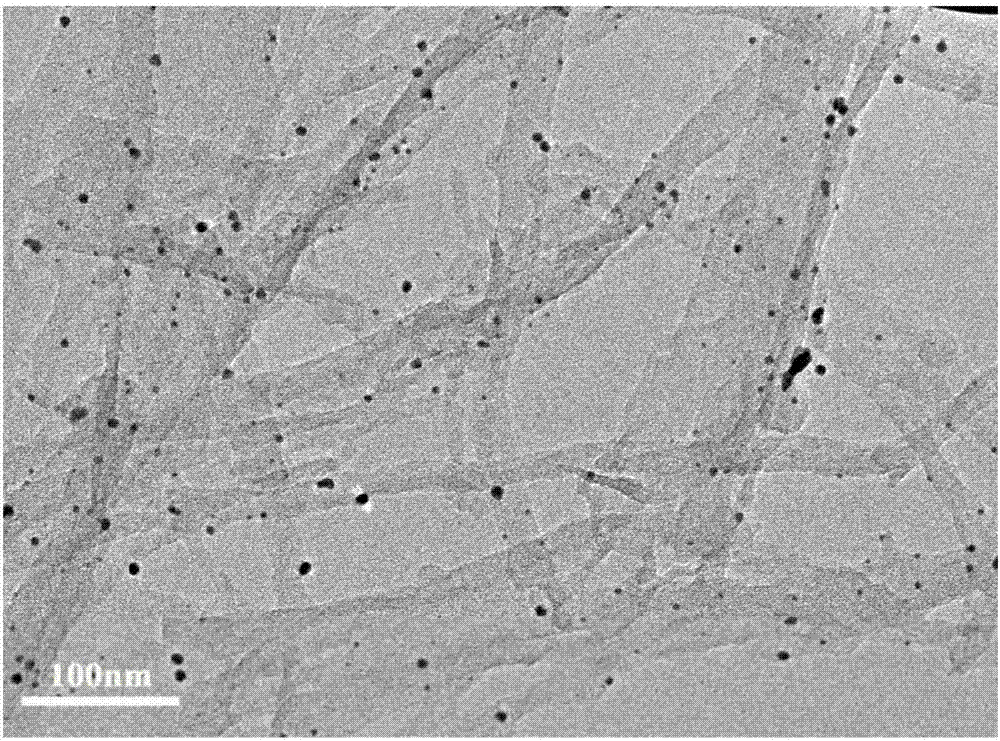 Preparation method of nitrogen-doped carbon nanofiber loaded gold nanoparticle oxygen reduction catalyst