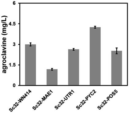 Recombinant saccharomyces cerevisiae strain and fermentation method thereof