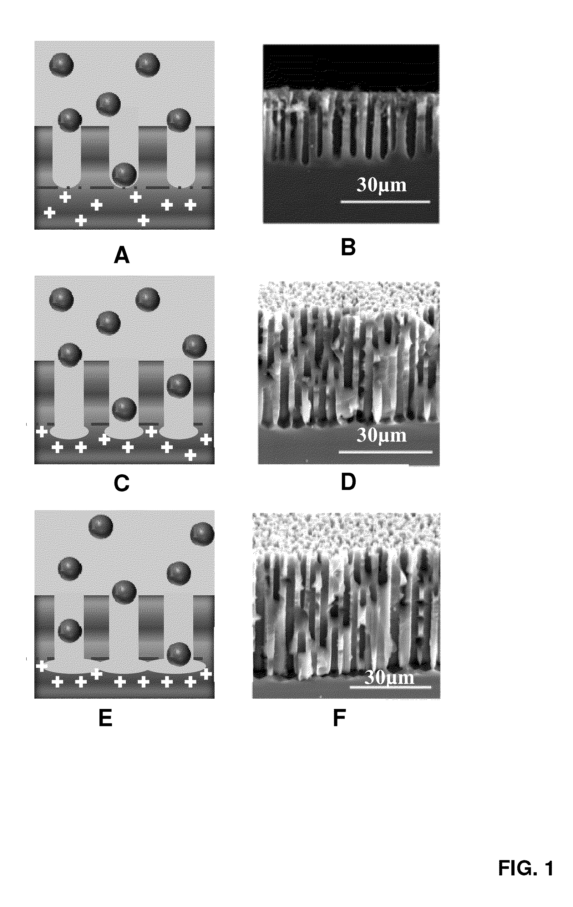 Anode battery materials and methods of making the same