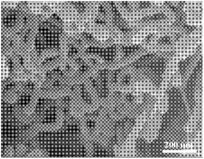 Preparation method of one-dimensional conductive polypyrrole/ concave-convex rod nanameter composite material