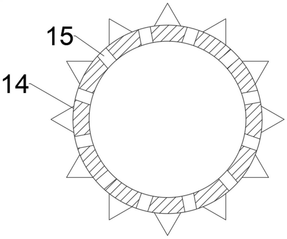 Classified crushing device for solid waste treatment