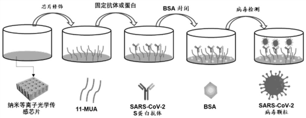 Novel coronavirus particle quantitative detection method based on nano plasma resonance