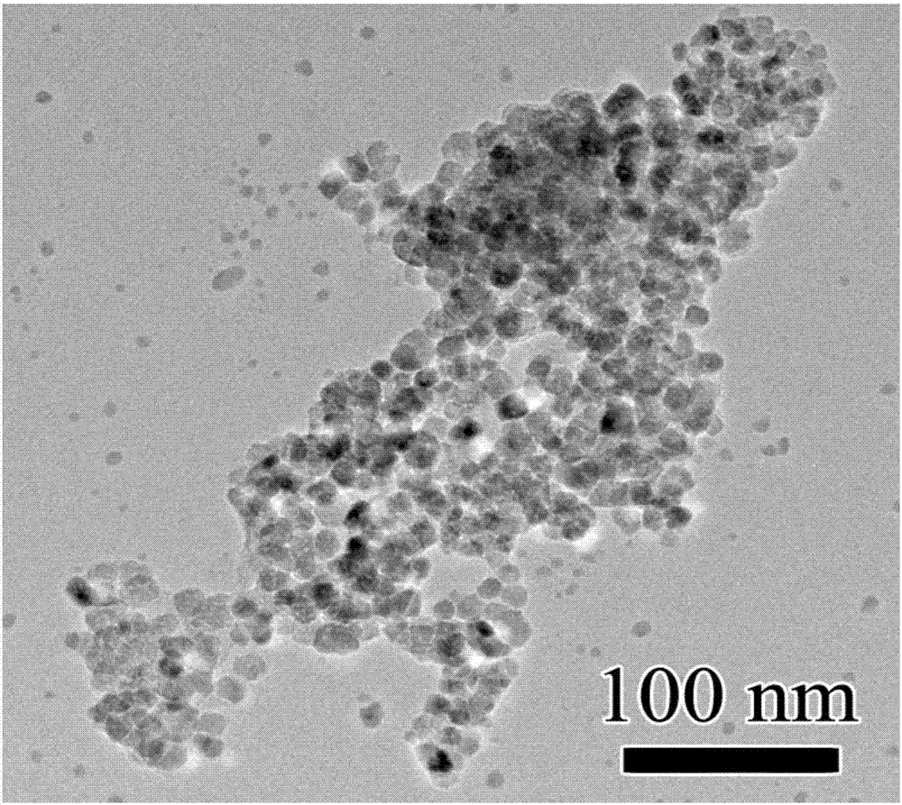 Reduced graphene oxide-polyethyleneimine-Co3O4 oxide semiconductor composite material, preparation method and application