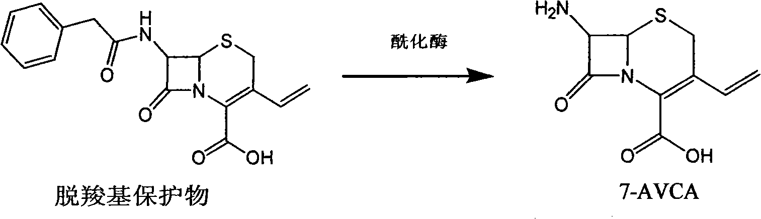 Process for preparing cefixime