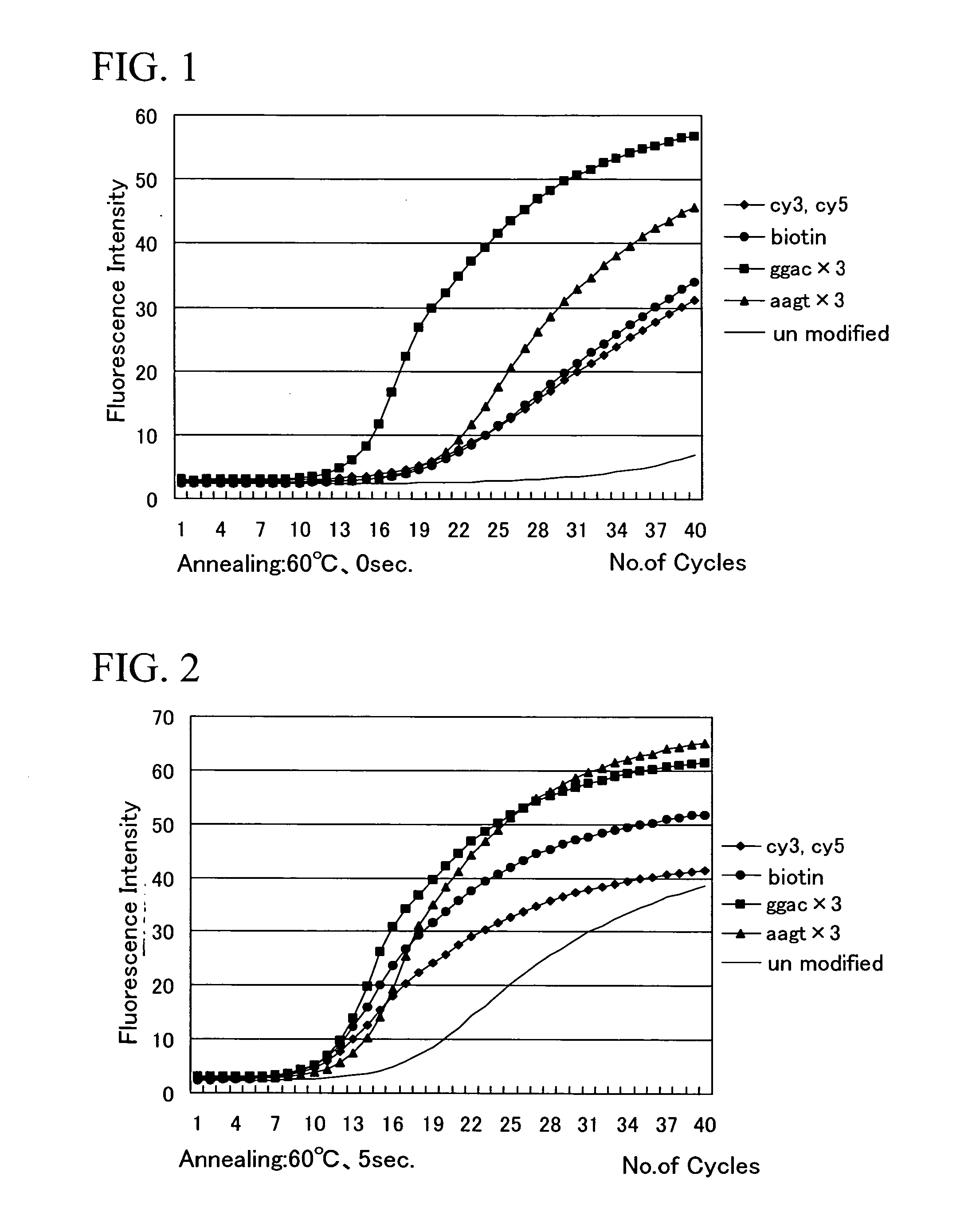 Process for amplifying DNA