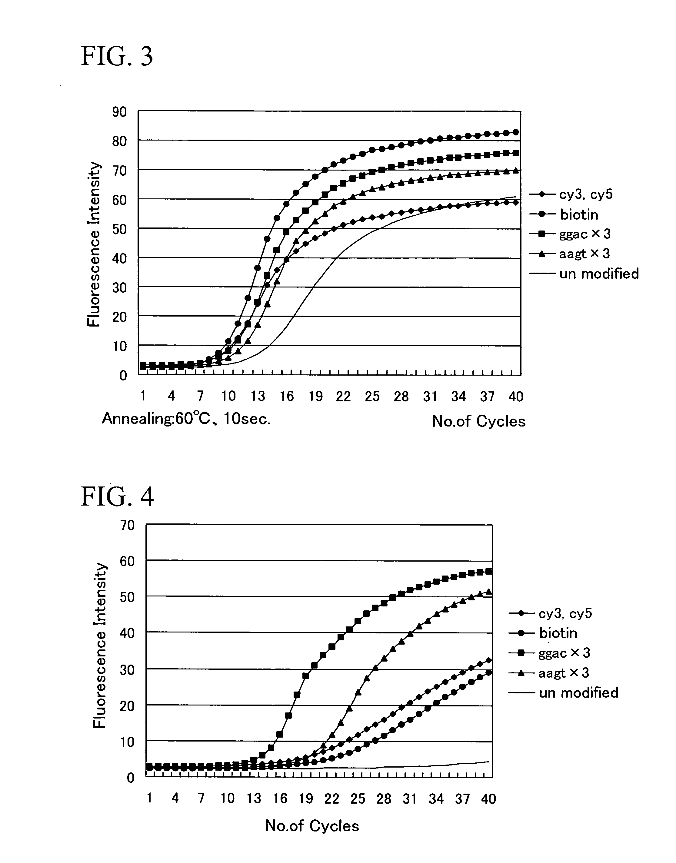 Process for amplifying DNA